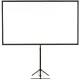 Epson ELPSC21 Screen