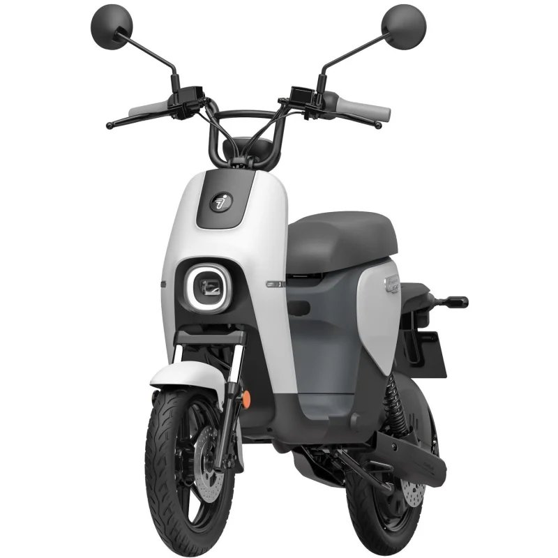 Electric scooter Segway-Ninebot B110S Dark Grey/White