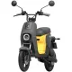 Electric scooter Segway-Ninebot B110S Yellow/Dark Grey