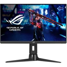 Asus 24.5